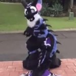 Spirit the Dutch angel dragon’s butt GIF Template