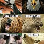 animal metal