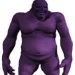 Bulk meme