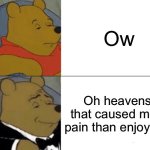 Tuxedo Winnie The Pooh | Ow; Oh heavens, that caused more pain than enjoyable | image tagged in memes,tuxedo winnie the pooh | made w/ Imgflip meme maker