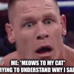 lmao | ME: *MEOWS TO MY CAT*
MY CAT, TRYING TO UNDERSTAND WHY I SAID 5 SLURS: | image tagged in cats | made w/ Imgflip video-to-gif maker