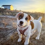 Jrt side eye