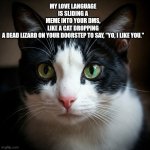 Innocent Cat Face | MY LOVE LANGUAGE IS SLIDING A MEME INTO YOUR DMS, LIKE A CAT DROPPING A DEAD LIZARD ON YOUR DOORSTEP TO SAY, "YO, I LIKE YOU." | image tagged in innocent cat face | made w/ Imgflip meme maker