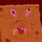 lsw3n moment GIF Template