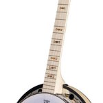 Deering Goodtime Two Banjo