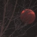 Blood Moon.