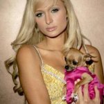 Paris Hilton Says That's Woke | That's woke | image tagged in paris hilton,woke | made w/ Imgflip meme maker