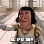 Agile scrum | AGILE SCRUM | image tagged in farquaad pointing,agile,scrum | made w/ Imgflip meme maker