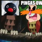 pingas owls