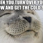 ... | WHEN YOU TURN OVER YOUR PILLOW AND GET THE COLD SIDE | image tagged in memes,satisfied seal | made w/ Imgflip meme maker