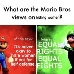 Mario Bros Views | hitting women; EQUAL RIGHTS EQUAL FIGHTS; It’s never okay to hit a woman if not for self defense. | image tagged in mario bros views | made w/ Imgflip meme maker