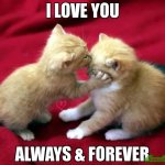 When he tells me he has developed feelings or was it felines?
