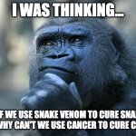 Thoughts raw from my mind | I WAS THINKING... ...IF WE USE SNAKE VENOM TO CURE SNAKE BITES, WHY CAN'T WE USE CANCER TO CURE CANCER? | image tagged in deep thoughts,monkey,relatable,memes,funny,fun | made w/ Imgflip meme maker