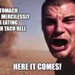 Toilet: You and me are gonna have a rough night, pal. | MY STOMACH GROWLING MERCILESSLY AFTER EATING TOO MUCH TACO BELL; HERE IT COMES! | image tagged in here it comes | made w/ Imgflip meme maker