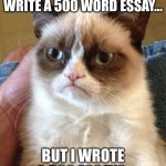 I'm tired | GUYS I WAS SUPPOSED TO WRITE A 500 WORD ESSAY... BUT I WROTE A 500 ESSAYS. | image tagged in memes,grumpy cat,essay | made w/ Imgflip meme maker