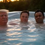 Donald Trump, Elon Musk, Vivek Ramaswamy oligarchy swimming pool