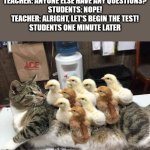 Chicks on a Cat's Back | TEACHER: ANYONE ELSE HAVE ANY QUESTIONS?
STUDENTS: NOPE!
TEACHER: ALRIGHT, LET'S BEGIN THE TEST!
STUDENTS ONE MINUTE LATER | image tagged in chicks on a cat's back | made w/ Imgflip meme maker