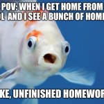 THERE WAS HOMEWORK??? | POV: WHEN I GET HOME FROM SCHOOL  AND I SEE A BUNCH OF HOMEWORK; LIKE, UNFINISHED HOMEWORK | image tagged in surprised fish,homework,funny,unfinished homework meme | made w/ Imgflip meme maker