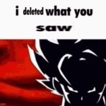 I deleted what you saw