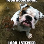 Bulldog | MAY I REQUEST YOUR ASSISTANCE; LOOK, I STEPPED IN SOMETHING | image tagged in bulldog | made w/ Imgflip meme maker