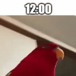 New Years Be Like | 12:00; 12:01 | image tagged in gifs,memes,relatable,new years,2025,2024 | made w/ Imgflip video-to-gif maker