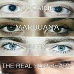 the real slim shady | THE REAL SLIM SHADY | image tagged in eye effect,eminem,memes,funny | made w/ Imgflip meme maker