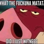 what the fuckuna matata did i just witness