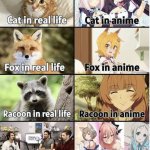 100kanojo nekonari tama catgirl