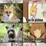 100kanojo nekonari tama catgirl