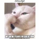 Resolutions | MY NEW YEARS RESOLUTION IS TO STOP MAKING RESOLUTIONS I'LL NEVER KEEP. | image tagged in smudge the cat | made w/ Imgflip meme maker