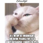 New Years eve | IF I'M UP AT MIDNIGHT ON NEW YEARS EVE IT'S ONLY BECAUSE I HAVE TO PEE. | image tagged in smudge | made w/ Imgflip meme maker