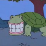 Denture Turtle