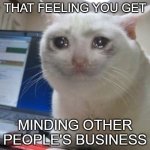 Crying cat | THAT FEELING YOU GET; MINDING OTHER PEOPLE'S BUSINESS | image tagged in crying cat | made w/ Imgflip meme maker