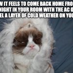 Just happened to me right now | HOW IT FEELS TO COME BACK HOME FROM A COLD NIGHT IN YOUR ROOM WITH THE AC ON AND STILL FEEL A LAYER OF COLD WEATHER ON YOUR SKIN: | image tagged in cold grumpy cat,relatable memes,memes,cold weather,freezing cold,unnecessary tags | made w/ Imgflip meme maker