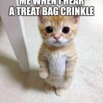 real | ME WHEN I HEAR A TREAT BAG CRINKLE | image tagged in memes,cute cat,chips | made w/ Imgflip meme maker