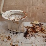 dirty toilet