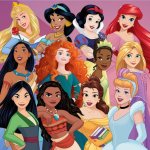 Disney Princess Group