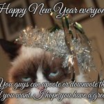 Grumpy Cat New Years | Happy New Year everyone! You guys can upvote or downvote this image if you want. I hope you have a great year! | image tagged in grumpy cat new years | made w/ Imgflip meme maker