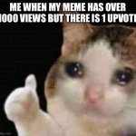 Approved crying cat | ME WHEN MY MEME HAS OVER 1000 VIEWS BUT THERE IS 1 UPVOTE | image tagged in approved crying cat,cat | made w/ Imgflip meme maker