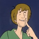 Shaggy thinking