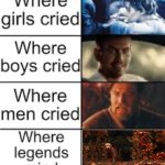 Homeward Bound: The Incredible Journey for anyone wondering | image tagged in where legends cried,homeward bound,sad | made w/ Imgflip meme maker