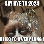 Grumpy Cat New Years | SAY BYE TO 2024; AND HELLO TO A VERY LONG YEAR | image tagged in grumpy cat new years | made w/ Imgflip meme maker