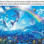 Tornado | How it feels to survive every single tornado event even after the most intense destruction surrounding my area: | image tagged in happy dolphin rainbow,tornado,tornadoes,memes,blank white template,storm | made w/ Imgflip meme maker