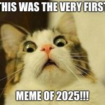 First Meme of 2025! | THIS WAS THE VERY FIRST; MEME OF 2025!!! | image tagged in memes,scared cat | made w/ Imgflip meme maker