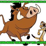 Timon and Pumbaa | IF YOU HAVE ANY PROBLEMS THAT YOU CAN'T DO ANYTHING ABOUT; HAKUNA MATATA THEM AND THEY WILL DISAPPEAR | image tagged in timon and pumbaa,memes,good vibes | made w/ Imgflip meme maker