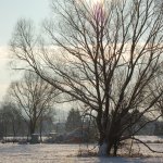 winter