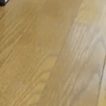 Genius! Turtle on a mini skateboard...lol! | Game Changer! LOOK AT CAT'S FACE! 😂😆 | image tagged in gifs,cat,turtle,funny,speed turtle,smart | made w/ Imgflip video-to-gif maker