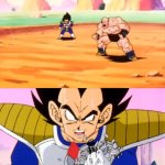 Vegeta e Nappa