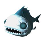 Skull fish