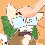 TEACHER CAT